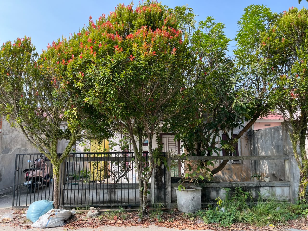 Rumah